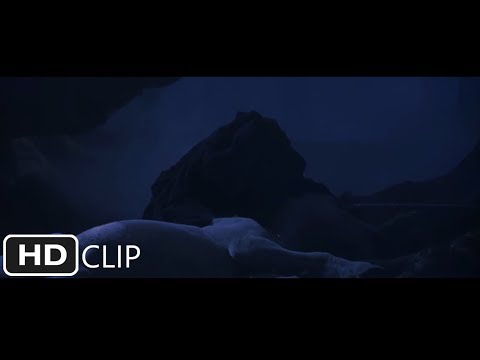 禁じられた森（後編）｜ハリー・ポッターと魔法使いの石 (The Forbidden Forest (Part 2) | Harry Potter and the Sorcerer's Stone)