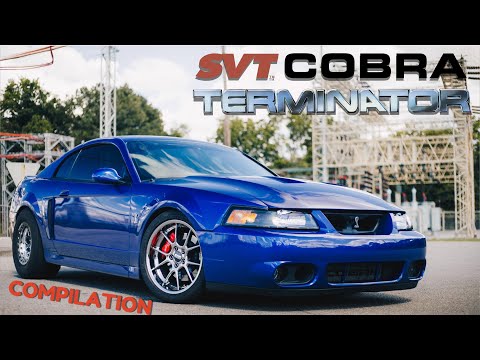 This is HOW The 03/04 Terminator Cobra Became a LEGEND | Classic Gap Compilation 