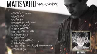 Matisyahu - Youth (Selections from No Place To Be)