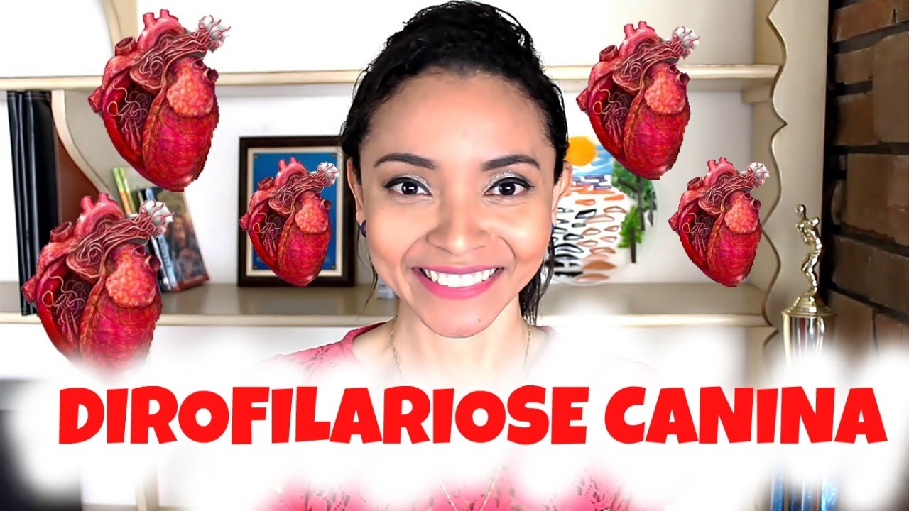 DIROFILARIOSE CANINA