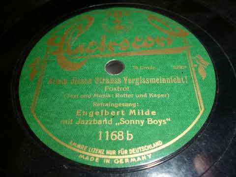 Engelbert Milde mit Jazzband Sonny Boys, Electrocord, 1929