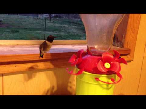 Made a new friend tonight