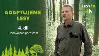 Adaptujeme lesy – 4. díl