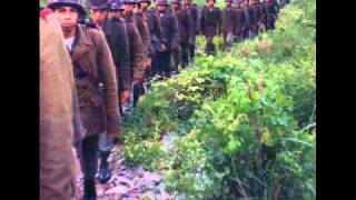 NARCO BATALLON LA PALOMA DE ACERO.