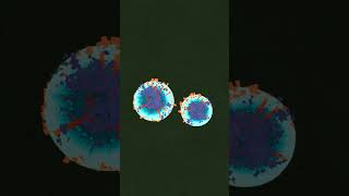 [マイクラ] 謎の光る球体現る！！！[MINECRAFT]