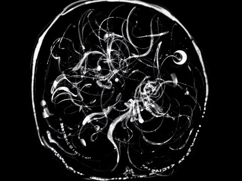 4 - Froid & Makalister - Pais e Filhos