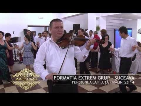 Formatia EXTREM Grup Suceava, Formatie nunta Suceava   Program instrumental VIOARA
