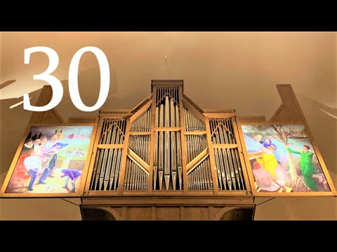 Steigleder's "Vater Unser" Vlog: Variation 30 - Gothic organ, Orgelpark, Amsterdam