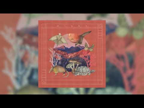 Migra - Tierra de Nadie (Original Mix)