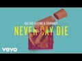 Raleigh Ritchie & Sounwave - Never Say Die ...