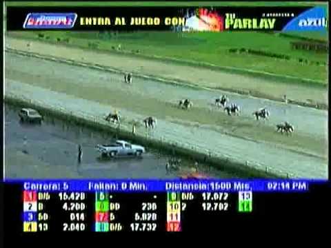 Resumen Sabado, 04 de Agosto de 2012 - La Rinconada