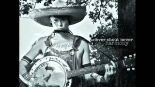 Never Shout Never - The Lousy Truth (Album Version)