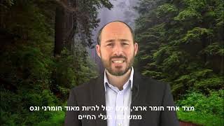 Parashat Bereshit / Rabbi Yoni Lavi (הרב יוני לביא) - התמונה מוצגת ישירות מתוך אתר האינטרנט יוטיוב. זכויות היוצרים בתמונה שייכות ליוצרה. קישור קרדיט למקור התוכן נמצא בתוך דף הסרטון