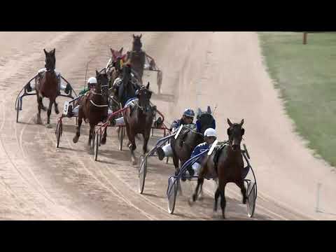 2019.06.15. 06. futam - BROWN LADY DÍJ