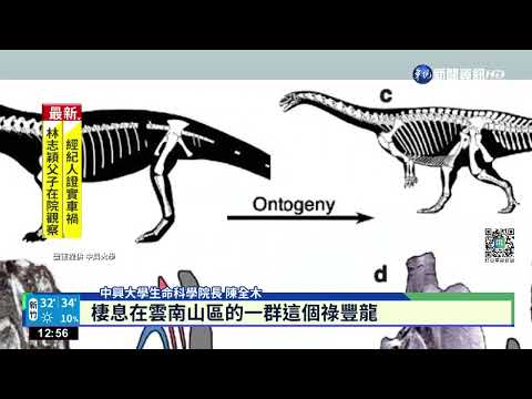 2億年前恐龍胚胎亮相 興大展出珍貴標本