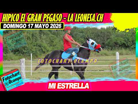 MI ESTRELLA La Leonesa CH 17 06 2026