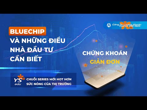 Bài 16: Bluechip và Những điều nhà đầu tư cần biết