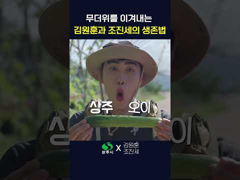 미스터비스트 따라잡다 고생한 #김원훈 #조진세 in 상주 경천섬