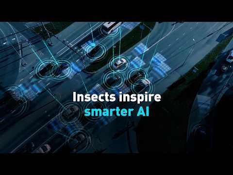 Insects inspire smarter AI