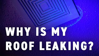 Why is My Roof Leaking? - Should I Fix It? // Northface Construction