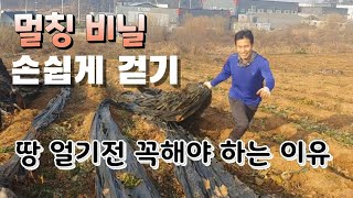폐 비닐 손쉽게 걷기 지금 꼭 해야 하는 이유? 일을 즐겁게 해야