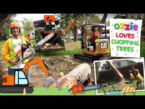 Tree Chopping Video For Kids | Chainsaw, Wood Chipper, Excavator, Tree Climbing Fun With Ozzie