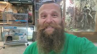 גידול זחלי שחרורית הקמח. מאת שלמה מ@Myochoplus