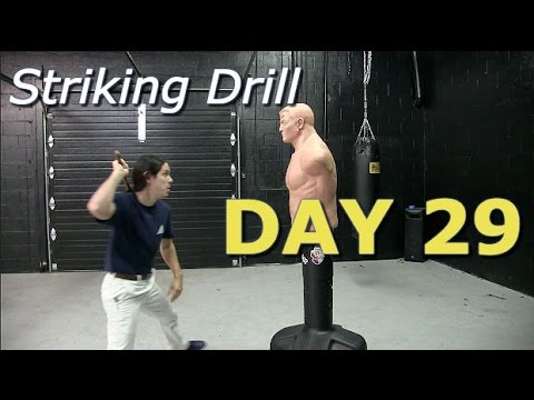 Beating the Crap out of Bob! Day 29 - Kali Arnis Escrima Stick Fighting
