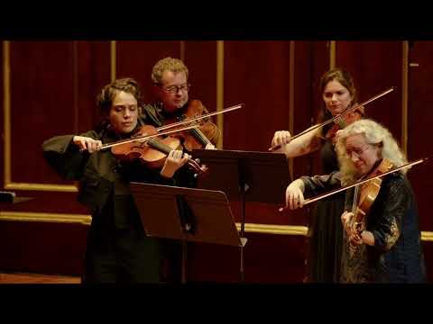 Svítání for String Orchestra (Quinn Mason) performed by A Far Cry