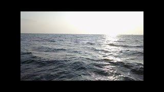 Dji Mavic Pro  in 琵琶湖