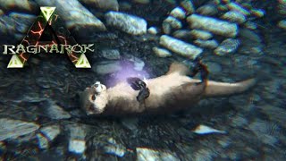 Ark Tutorial Como Tamear Al Otter Ragnarok Localizacion Nutria Ark Survival Evolved تنزيل الموسيقى Mp3 مجانا