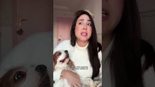 NÃO FALE MAIS O NOME DO SEU CACHORRO!!!