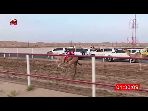  ش 1 دخول جماعي 3:00:38 ، شارة الصندوق 2026/08/14 فطامين الرقيعات