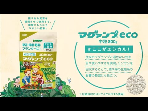セアノサスの肥料は何ですか？カリフォルニアライラックにいつ肥料を与えるのですか？  庭園