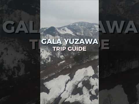Gala Yuzawa : Quick Tips