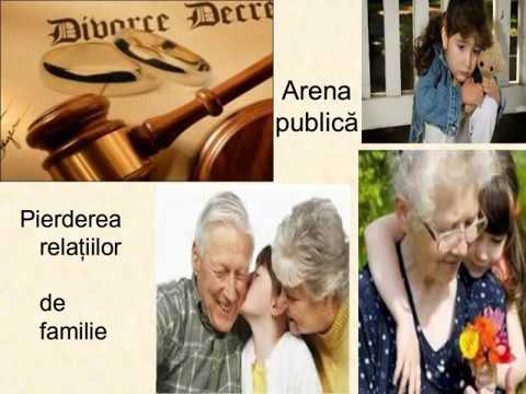 Diaporama Camelia Borlean Alienarea Parinteasca