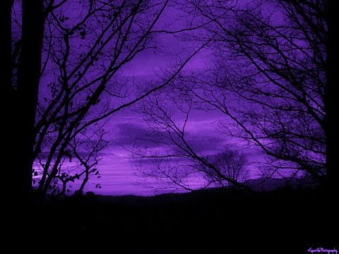 Deep purple - April Stevens