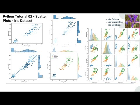 Python Tutorial 02 Scatter Plots Iris Dataset