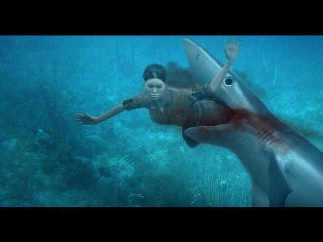 SHARK ATTACK - Great white shark attacks, a rare shark attack video