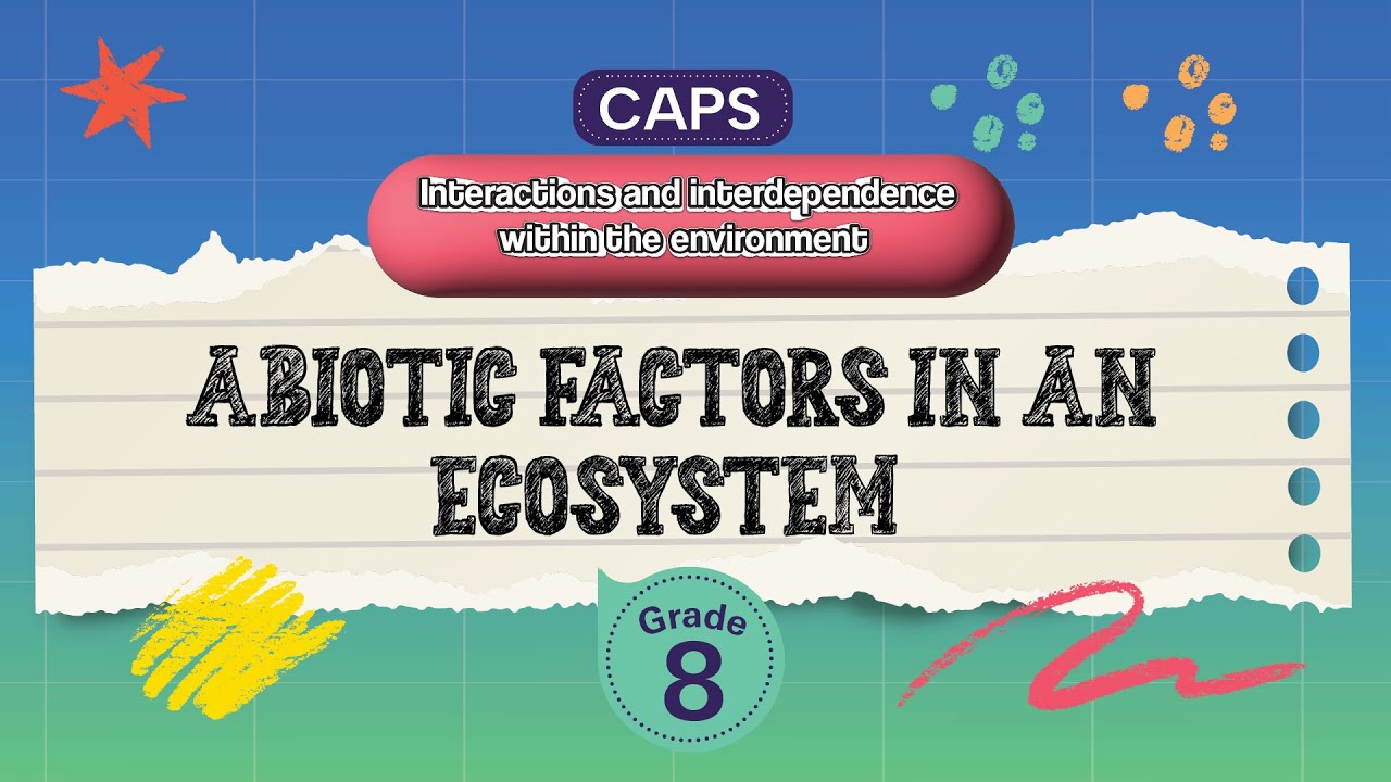 [GRADE 8] Abiotic factors in an ecosystem