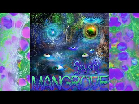 Spycht - Mangrove [ Swamp Trance Album Visual Mix ]