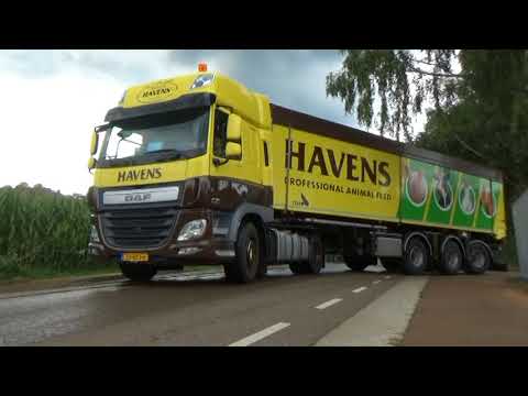 Liessel 2017 uittocht movie