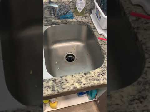 Garbage disposal(why my garbage disposal won’t turn on)