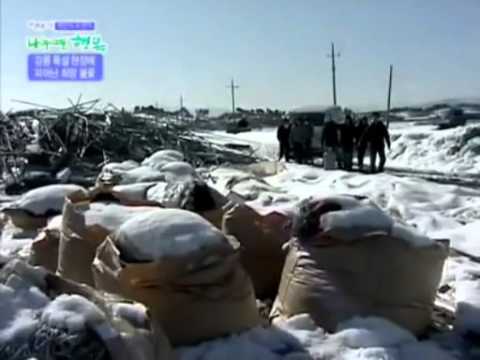 [SHOW] 110311 ŜħǎƦıƞģ ĭś Ĥǎƥƥɨɳɛʂʂ - Ḓḁḽṁḁṫḯḁṇ [1/2]