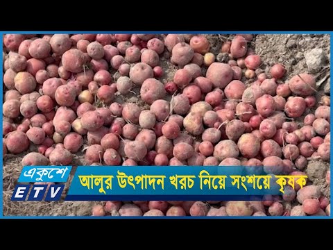 আলুর উৎপাদন খরচ উঠে আসা নিয়ে সংশয়ে কৃষক