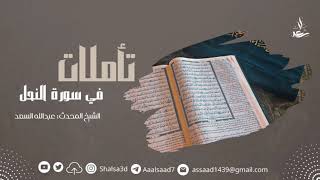 صورة 13- تأملات في سورة النحل