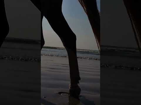 Seaview 🌊#nature #aestheticvideo #sea #arabiansea