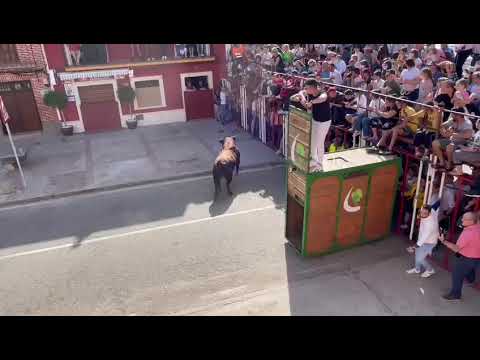 Cogida mortal a un hombre en el encierro de La Seca