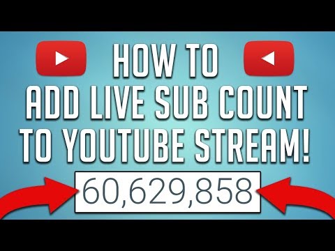 Online Subscriber Count How To Get A Real Time Subscriber Count - how to beat 1000 mega fun obby level 999 on roblox youtube