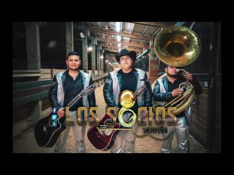 De Periodico un Gallito  - (STUDIO) Los Socios de Sinaloa